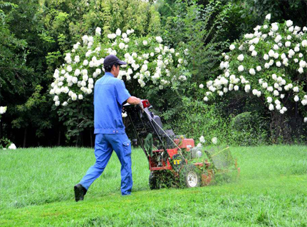 園林(lín)綠(lǜ)化(huà)